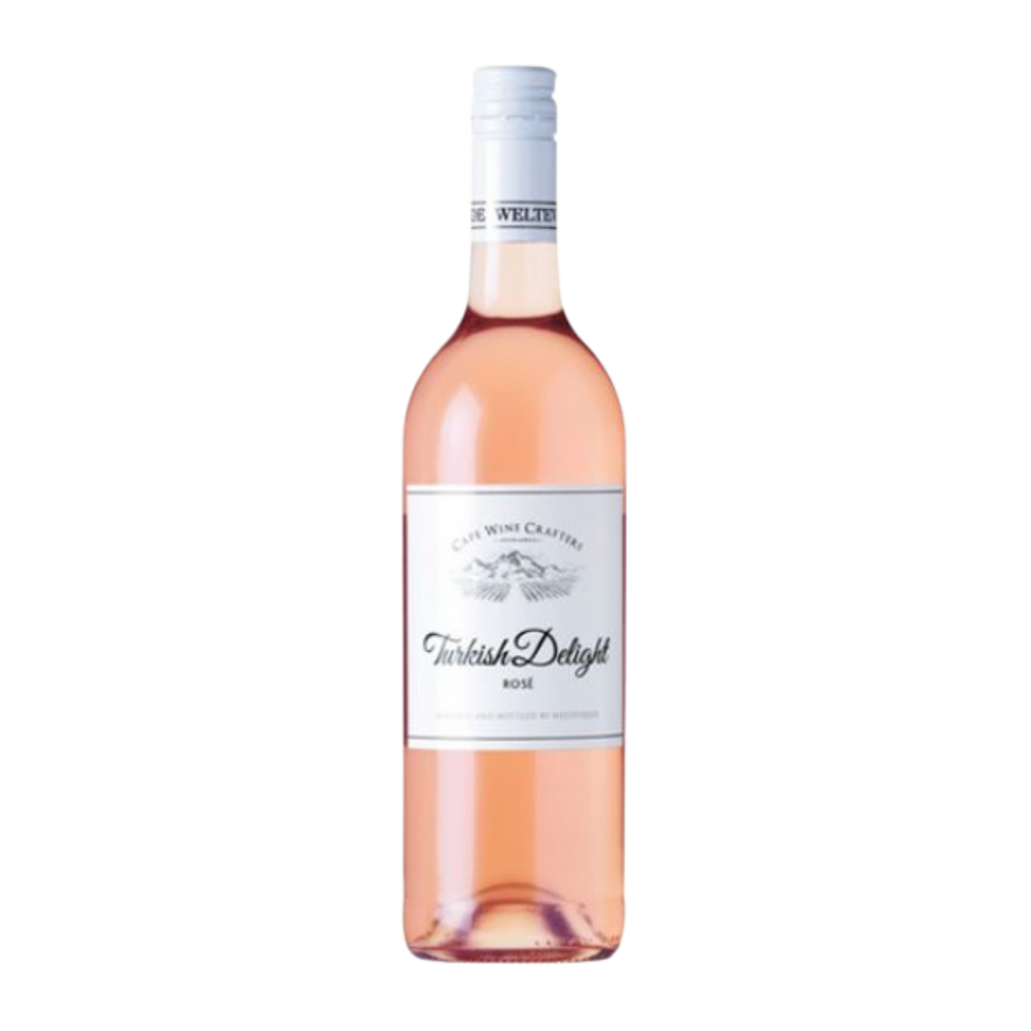 Weltevrede 2023 Turkish Delight Rose